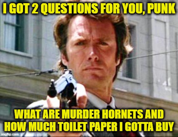 Dirty harry | I GOT 2 QUESTIONS FOR YOU, PUNK; WHAT ARE MURDER HORNETS AND HOW MUCH TOILET PAPER I GOTTA BUY | image tagged in dirty harry | made w/ Imgflip meme maker