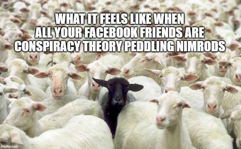 conspiracy theory sheeple | WHAT IT FEELS LIKE WHEN ALL YOUR FACEBOOK FRIENDS ARE CONSPIRACY THEORY PEDDLING NIMRODS | image tagged in black sheep,sheeple,conspiracy theories,nimrods | made w/ Imgflip meme maker