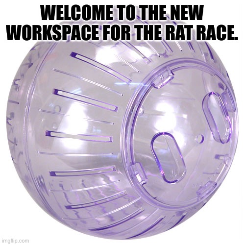 Rat Racer | WELCOME TO THE NEW WORKSPACE FOR THE RAT RACE. | image tagged in covid-19,funny | made w/ Imgflip meme maker
