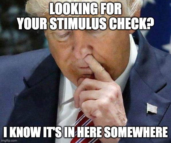 Stimulus Check | LOOKING FOR YOUR STIMULUS CHECK? I KNOW IT'S IN HERE SOMEWHERE | image tagged in trump picking his nose | made w/ Imgflip meme maker