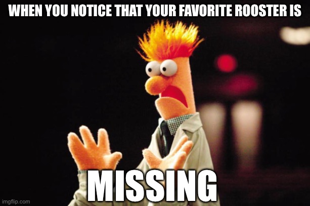 Beaker Freak Out | WHEN YOU NOTICE THAT YOUR FAVORITE ROOSTER IS; MISSING | image tagged in beaker freak out | made w/ Imgflip meme maker