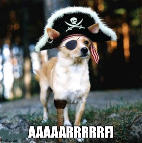 Pirate Dog | AAAAARRRRRF! | image tagged in pirate dog | made w/ Imgflip meme maker