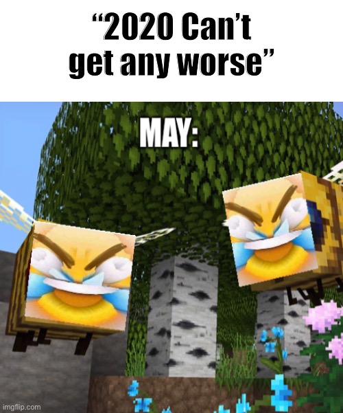 May 2020 | “2020 Can’t get any worse” | image tagged in murder hornet | made w/ Imgflip meme maker