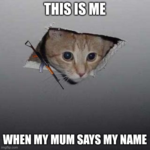Ceiling Cat | THIS IS ME; WHEN MY MUM SAYS MY NAME | image tagged in memes,ceiling cat | made w/ Imgflip meme maker