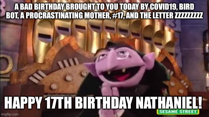 Birthday ruined COVID19 | A BAD BIRTHDAY BROUGHT TO YOU TODAY BY COVID19, BIRD BOT, A PROCRASTINATING MOTHER, #17, AND THE LETTER ZZZZZZZZZ; HAPPY 17TH BIRTHDAY NATHANIEL! | image tagged in sesame street | made w/ Imgflip meme maker