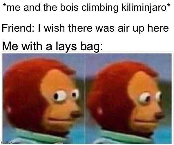 Monkey Puppet | *me and the bois climbing kiliminjaro*; Friend: I wish there was air up here; Me with a lays bag: | image tagged in memes,monkey puppet | made w/ Imgflip meme maker