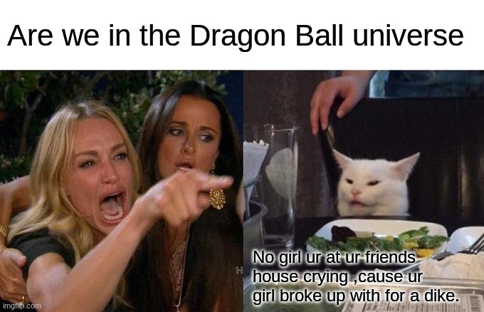 High females | Are we in the Dragon Ball universe; No girl ur at ur friends house crying ,cause ur girl broke up with for a dike. | image tagged in memes,woman yelling at cat,db | made w/ Imgflip meme maker