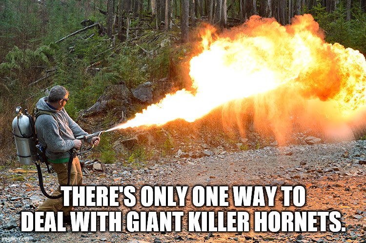 Exterminate Those Killer Hornets. | THERE'S ONLY ONE WAY TO DEAL WITH GIANT KILLER HORNETS. | image tagged in flamethrower,flame on,nature,mother nature,bees | made w/ Imgflip meme maker
