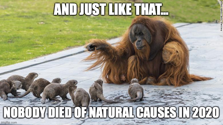 Natural Causes | AND JUST LIKE THAT... NOBODY DIED OF NATURAL CAUSES IN 2020 | image tagged in just like that | made w/ Imgflip meme maker