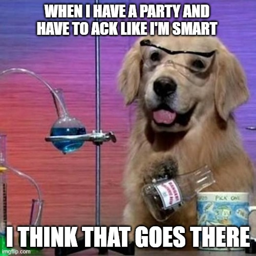 I Have No Idea What I Am Doing Dog | WHEN I HAVE A PARTY AND HAVE TO ACK LIKE I'M SMART; I THINK THAT GOES THERE | image tagged in memes,i have no idea what i am doing dog | made w/ Imgflip meme maker