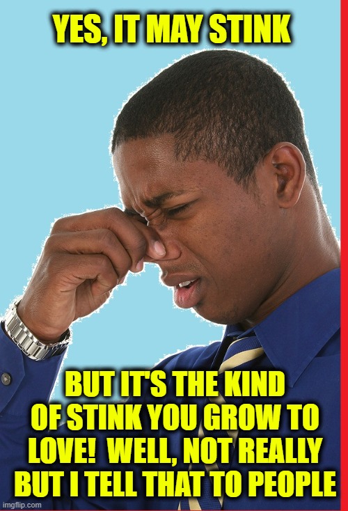 BUT IT'S THE KIND OF STINK YOU GROW TO LOVE!  WELL, NOT REALLY BUT I TELL THAT TO PEOPLE YES, IT MAY STINK | made w/ Imgflip meme maker