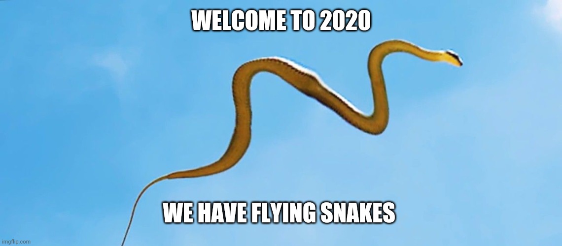 WELCOME TO 2020; WE HAVE FLYING SNAKES | image tagged in 2020,jumanji | made w/ Imgflip meme maker