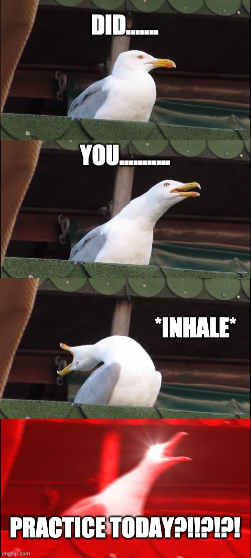 Inhaling Seagull Meme | DID....... YOU........... *INHALE*; PRACTICE TODAY?!!?!?! | image tagged in memes,inhaling seagull | made w/ Imgflip meme maker