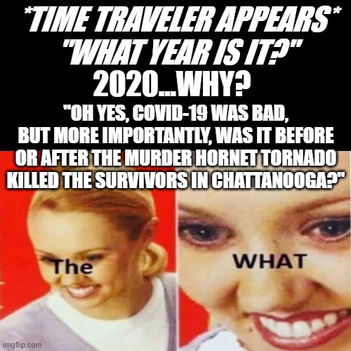 He works in mysterious ways. | *TIME TRAVELER APPEARS*
"WHAT YEAR IS IT?"; 2020...WHY? "OH YES, COVID-19 WAS BAD, BUT MORE IMPORTANTLY, WAS IT BEFORE OR AFTER THE MURDER HORNET TORNADO KILLED THE SURVIVORS IN CHATTANOOGA?" | image tagged in the what | made w/ Imgflip meme maker