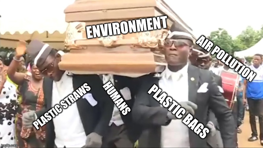 Us after 2020 | ENVIRONMENT; AIR POLLUTION; HUMANS; PLASTIC STRAWS; PLASTIC BAGS | image tagged in coffin dance | made w/ Imgflip meme maker