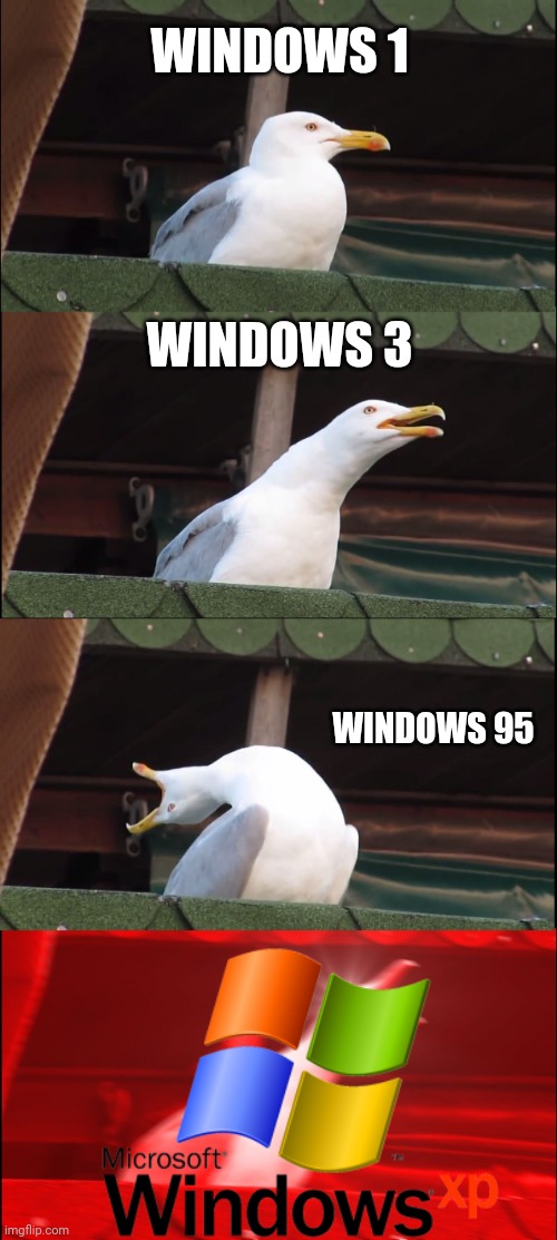 INCREASED | WINDOWS 1; WINDOWS 3; WINDOWS 95 | image tagged in memes,inhaling seagull,windows xp,windows 1,windows 95,windows 3 | made w/ Imgflip meme maker