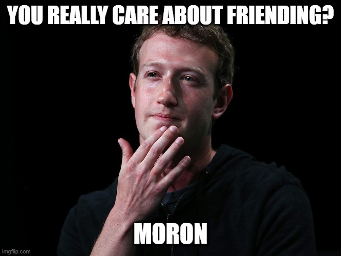 zuckerberg | YOU REALLY CARE ABOUT FRIENDING? MORON | image tagged in zuckerberg | made w/ Imgflip meme maker