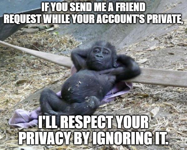 Relaxing chimp | IF YOU SEND ME A FRIEND REQUEST WHILE YOUR ACCOUNT'S PRIVATE, I'LL RESPECT YOUR PRIVACY BY IGNORING IT. | image tagged in relaxing chimp | made w/ Imgflip meme maker