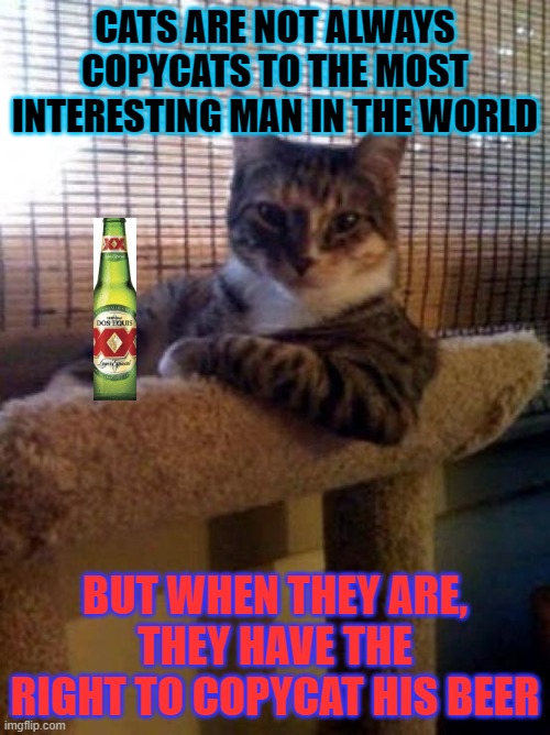 Welcome To Where Expectations Go Wrong, Enjoy Your Stay! | CATS ARE NOT ALWAYS COPYCATS TO THE MOST INTERESTING MAN IN THE WORLD; BUT WHEN THEY ARE, THEY HAVE THE RIGHT TO COPYCAT HIS BEER | image tagged in memes,the most interesting cat in the world | made w/ Imgflip meme maker