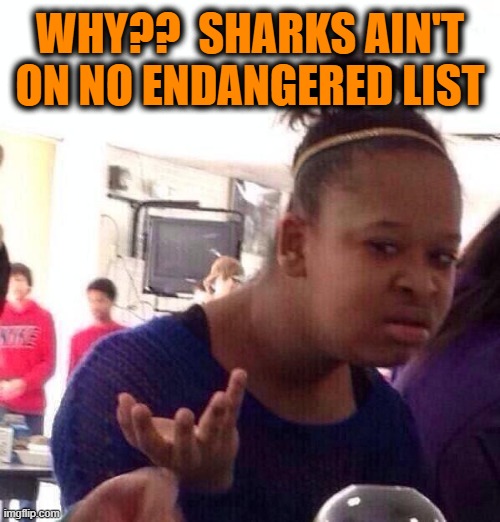 Black Girl Wat Meme | WHY??  SHARKS AIN'T ON NO ENDANGERED LIST | image tagged in memes,black girl wat | made w/ Imgflip meme maker