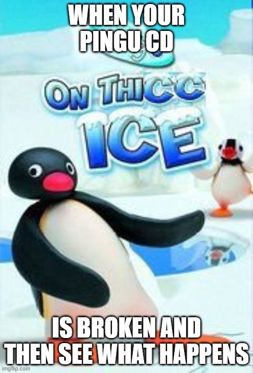 Pingu Meme | WHEN YOUR PINGU CD; IS BROKEN AND THEN SEE WHAT HAPPENS | image tagged in ciego on thicc ice | made w/ Imgflip meme maker