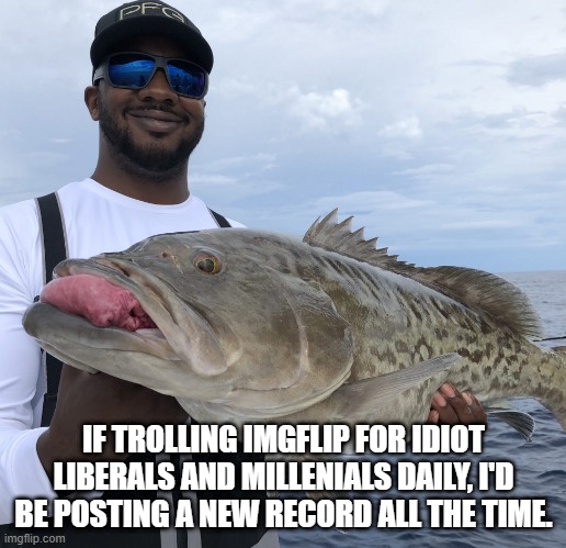 Trolling for record keepers | IF TROLLING IMGFLIP FOR IDIOT LIBERALS AND MILLENIALS DAILY, I'D BE POSTING A NEW RECORD ALL THE TIME. | image tagged in trolling | made w/ Imgflip meme maker