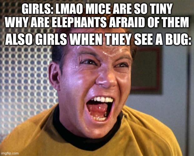 Oof | GIRLS: LMAO MICE ARE SO TINY WHY ARE ELEPHANTS AFRAID OF THEM; ALSO GIRLS WHEN THEY SEE A BUG: | image tagged in captain kirk screaming | made w/ Imgflip meme maker