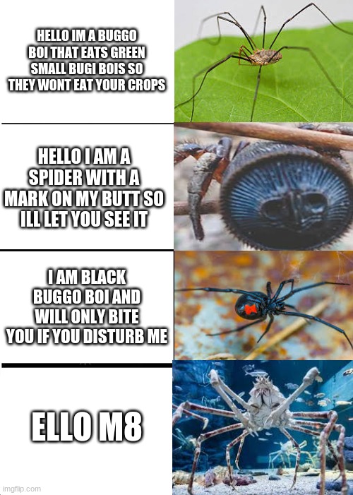 Expanding Brain | HELLO IM A BUGGO BOI THAT EATS GREEN SMALL BUGI BOIS SO THEY WONT EAT YOUR CROPS; HELLO I AM A SPIDER WITH A MARK ON MY BUTT SO ILL LET YOU SEE IT; I AM BLACK BUGGO BOI AND WILL ONLY BITE YOU IF YOU DISTURB ME; ELLO M8 | image tagged in memes,expanding brain | made w/ Imgflip meme maker