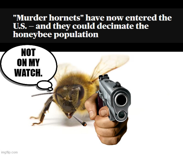 Mr. Bee B. Gunnz | NOT ON MY WATCH. | image tagged in memes,dank memes,come at me bro,murder hornets,funny,guns | made w/ Imgflip meme maker