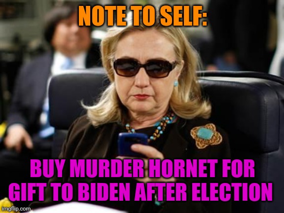 Hillary Clinton Cellphone Meme | NOTE TO SELF: BUY MURDER HORNET FOR GIFT TO BIDEN AFTER ELECTION | image tagged in memes,hillary clinton cellphone | made w/ Imgflip meme maker