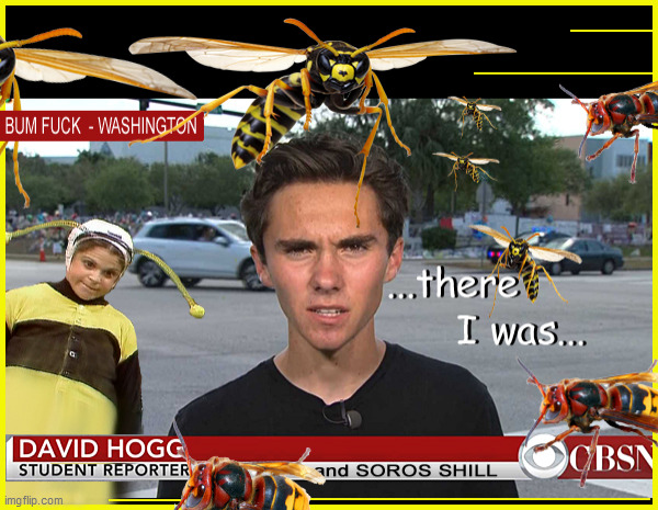 ...there I was............. | image tagged in murder hornets,killer bees,david hogg,lol,funny,current events | made w/ Imgflip meme maker