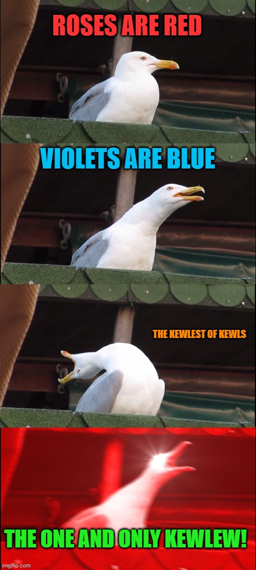 kewlest of kewles | ROSES ARE RED; VIOLETS ARE BLUE; THE KEWLEST OF KEWLS; THE ONE AND ONLY KEWLEW! | image tagged in memes,inhaling seagull | made w/ Imgflip meme maker