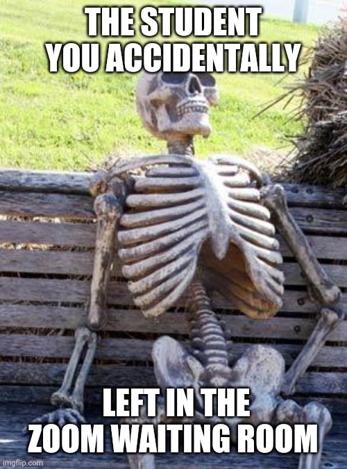 Waiting Skeleton Meme | THE STUDENT YOU ACCIDENTALLY; LEFT IN THE ZOOM WAITING ROOM | image tagged in memes,waiting skeleton,zoom,teacher,funny,fun | made w/ Imgflip meme maker