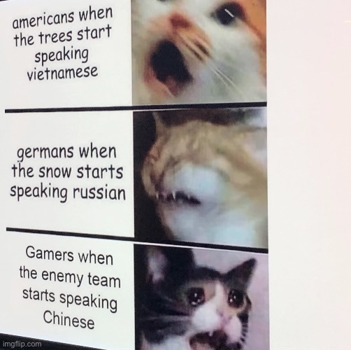 Gamers will understand | image tagged in meme | made w/ Imgflip meme maker
