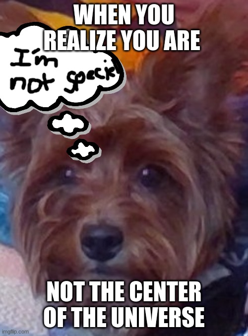 Winstin | WHEN YOU REALIZE YOU ARE; NOT THE CENTER OF THE UNIVERSE | image tagged in winstin | made w/ Imgflip meme maker