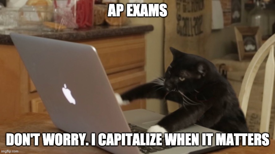 ap exams | AP EXAMS; DON'T WORRY. I CAPITALIZE WHEN IT MATTERS | image tagged in furiously typing cat | made w/ Imgflip meme maker