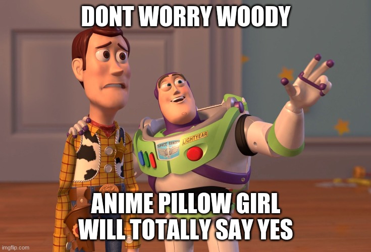 X, X Everywhere | DONT WORRY WOODY; ANIME PILLOW GIRL WILL TOTALLY SAY YES | image tagged in memes,x x everywhere | made w/ Imgflip meme maker
