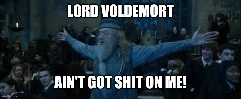 Harry Potter | LORD VOLDEMORT; AIN'T GOT SHIT ON ME! | image tagged in harry potter | made w/ Imgflip meme maker
