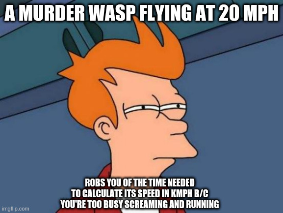 Futurama Fry | A MURDER WASP FLYING AT 20 MPH; ROBS YOU OF THE TIME NEEDED TO CALCULATE ITS SPEED IN KMPH B/C YOU'RE TOO BUSY SCREAMING AND RUNNING | image tagged in memes,futurama fry | made w/ Imgflip meme maker