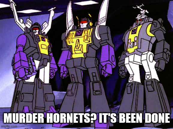 it's moider! | MURDER HORNETS? IT'S BEEN DONE | image tagged in murder hornets,insecticons,decepticons,transformers,neverending crisis | made w/ Imgflip meme maker