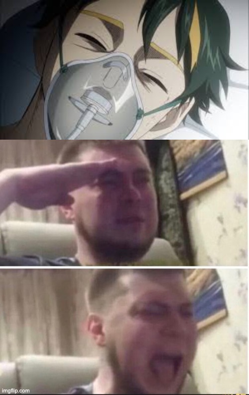 F for Fallen Hero | image tagged in crying salute | made w/ Imgflip meme maker