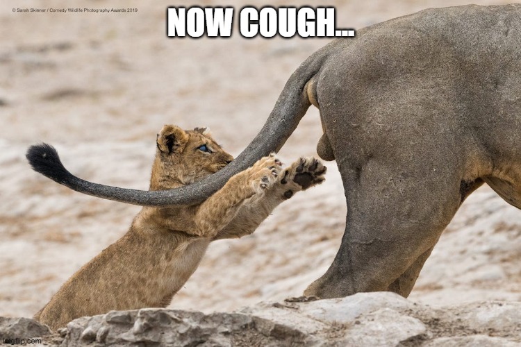 NOW COUGH... | image tagged in memes | made w/ Imgflip meme maker