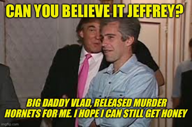 CAN YOU BELIEVE IT JEFFREY? BIG DADDY VLAD, RELEASED MURDER HORNETS FOR ME. I HOPE I CAN STILL GET HONEY | made w/ Imgflip meme maker