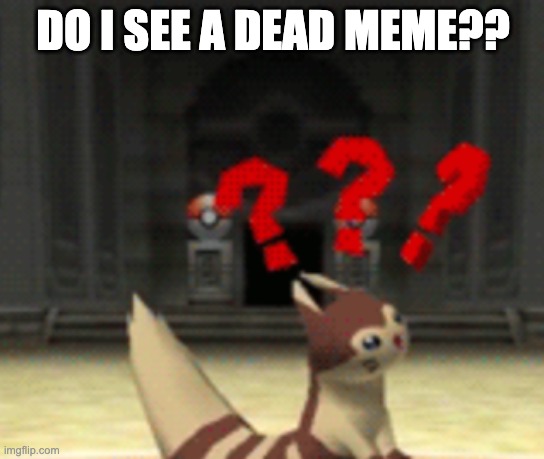 furret sees dead memes down there | DO I SEE A DEAD MEME?? | image tagged in confused furret | made w/ Imgflip meme maker
