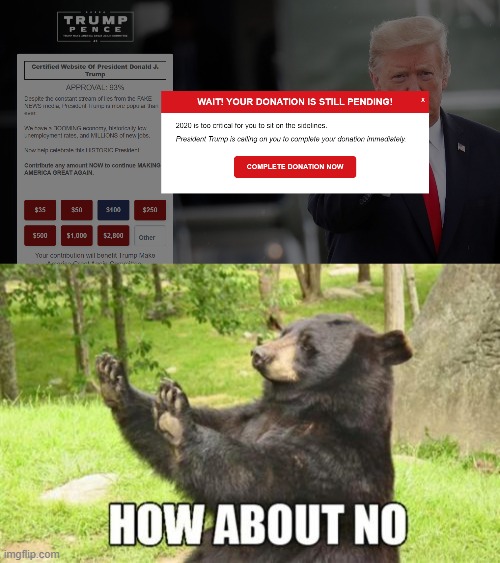Donald Trump has ruined this country, causing death. Many of you will leave hateful comments, but truth still remains. | image tagged in memes,how about no bear | made w/ Imgflip meme maker
