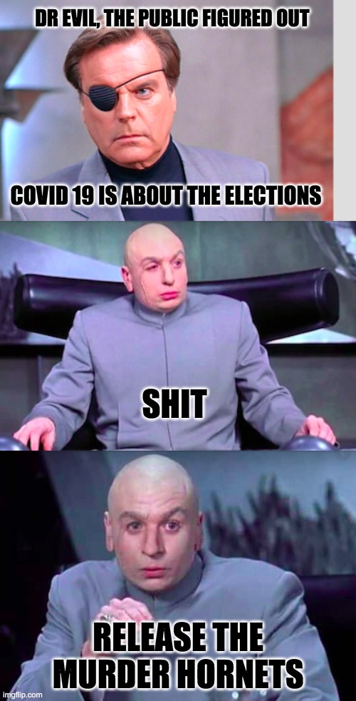 Covid 19 | DR EVIL, THE PUBLIC FIGURED OUT; COVID 19 IS ABOUT THE ELECTIONS; SHIT; RELEASE THE MURDER HORNETS | image tagged in corona virus | made w/ Imgflip meme maker