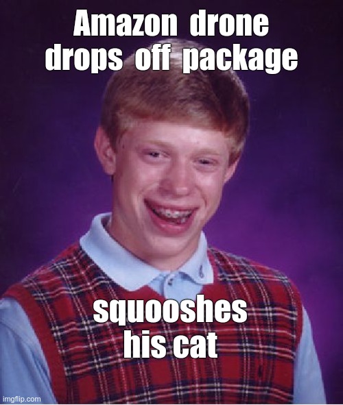 Bad Luck Brian Amazon Delivery | Amazon  drone
drops  off  package; squooshes
his cat | image tagged in bad luck brian,sick_covid stream,dark humor,rick75230,amazon,home delivery | made w/ Imgflip meme maker