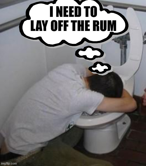 Drunk puking toilet | I NEED TO LAY OFF THE RUM | image tagged in drunk puking toilet | made w/ Imgflip meme maker