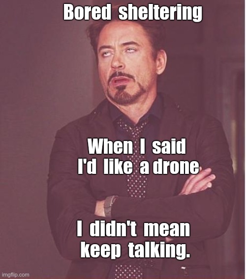Sheltering Got You Down? | Bored  sheltering; When  I  said  I'd  like  a drone; I  didn't  mean
 keep  talking. | image tagged in face you make robert downey jr,sick_covid stream,shelter in place,rick75230,drones | made w/ Imgflip meme maker