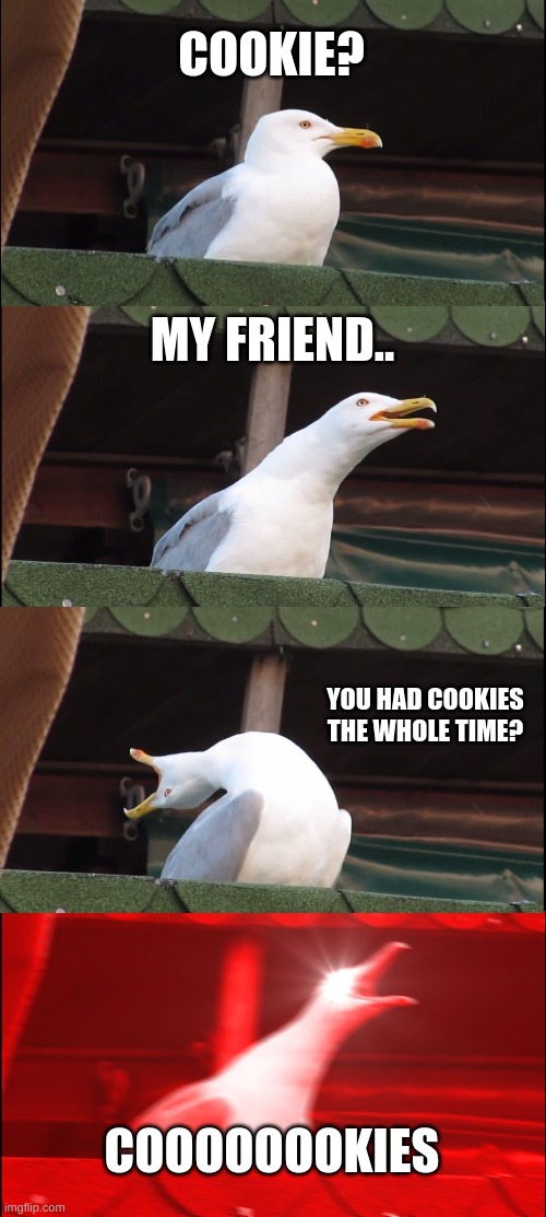 COOKIE? MY FRIEND.. YOU HAD COOKIES THE WHOLE TIME? COOOOOOOKIES | image tagged in memes,inhaling seagull | made w/ Imgflip meme maker